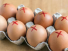 A dangerous situation showing the egg recall warning for families online